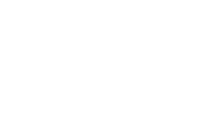 Paua